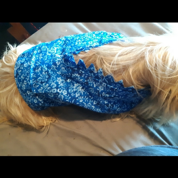 Cool little customized DoggyT-Shirts - Picture 5 of 15